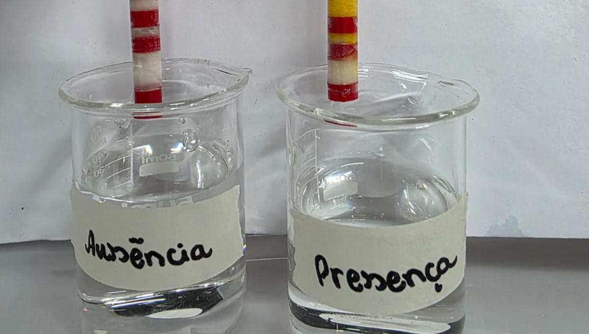 Tecnologia desenvolvida na UEPB é reconhecida pela Senacon, do Ministério da Justiça e Segurança Pública, por detectar metanol em bebidas alcoólica