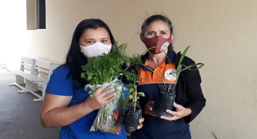 Projeto Zika UEPB distribui mudas de plantas repelentes em ação de combate às arboviroses no semiárido paraibano