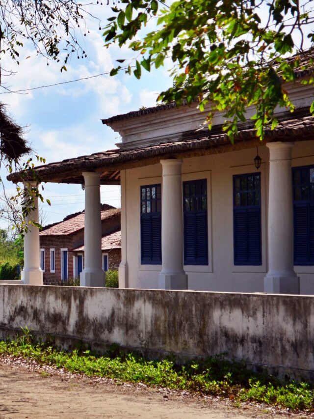 Encantos, desencantos e lições para um futuro