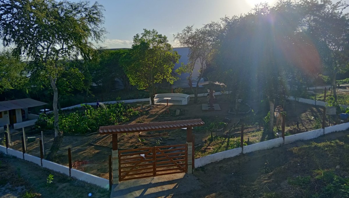 Quintal Produtivo cria espaço de sustentabilidade no Câmpus I e aproxima comunidade da agricultura familiar